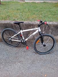 Bicicletta per ragazzo 