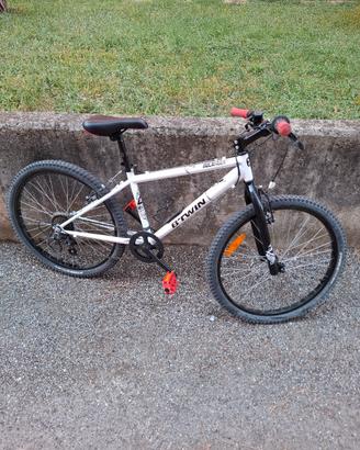 Bicicletta per ragazzo 