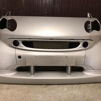 Musata carene plastiche anteriori smart 450 brabus