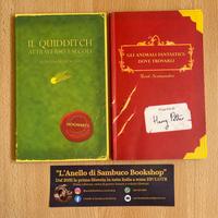 Harry Potter animali fantastici quidditch 2002