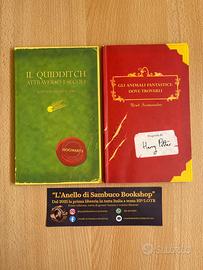 Harry Potter animali fantastici quidditch 2002