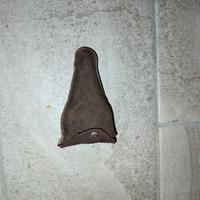 manometro pressione gomme