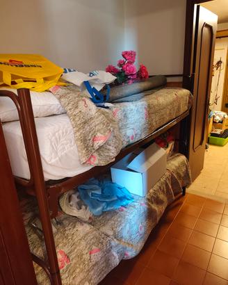 stufa a legna Nordica 