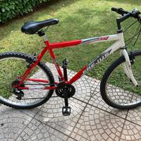 Bicicletta  Mtb  Frejus