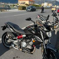 Benelli bn 302 2016