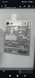 Ricambi interni LG GT9176PVBW 