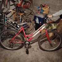 Mountain Bike ragazzo/ragazza