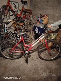 Mountain Bike ragazzo/ragazza