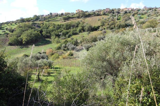 TER. AGRICOLO A AGROPOLI