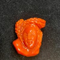 Lotto Esclusivo Corallo Rosso Naturale