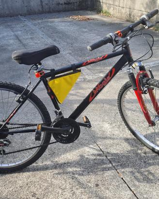 Bicicletta Magis