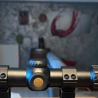 Ottica mirino da battuta burris