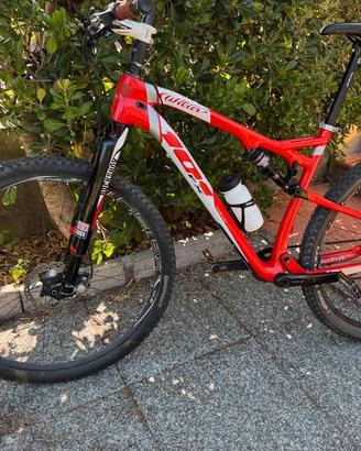 MTB 29 carbonio biammortizzata W. Triestina