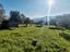 Immagine 21