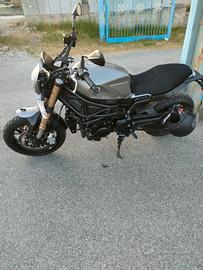 benelli leoncino 800 
