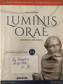 Luminis orae 1A e 1B