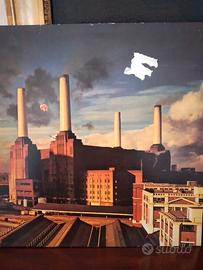 lp vinile pink floyd 