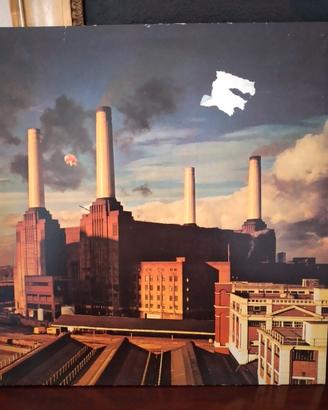 lp vinile pink floyd 