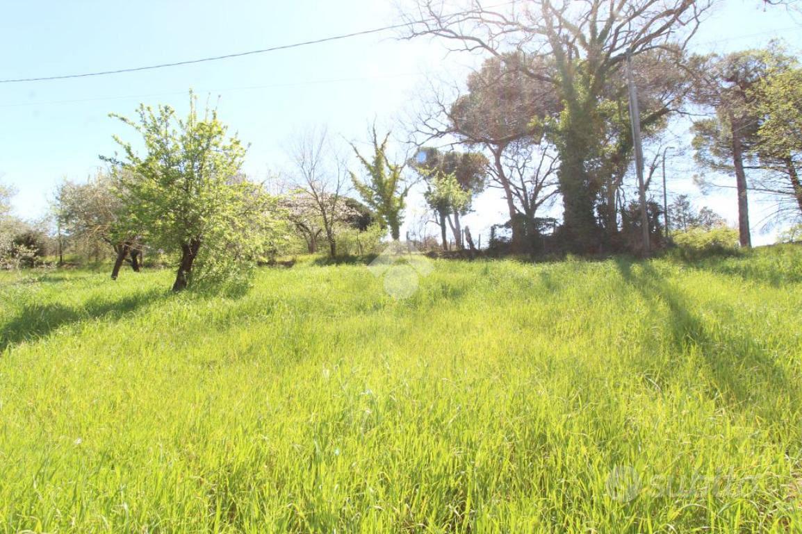 TER. RESIDENZIALE A POGGIO NATIVO - View 2
