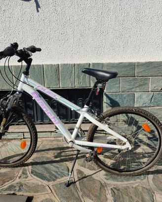 Mountain bike Duel Bianchi