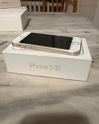 Apple iPhone 5s