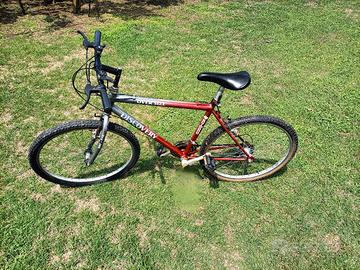 bicicletta mountain bike