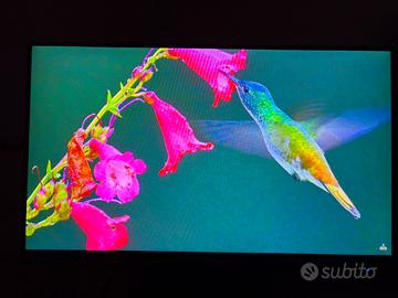 monitor asus va24e 24pollici full HD  (1920x1080)