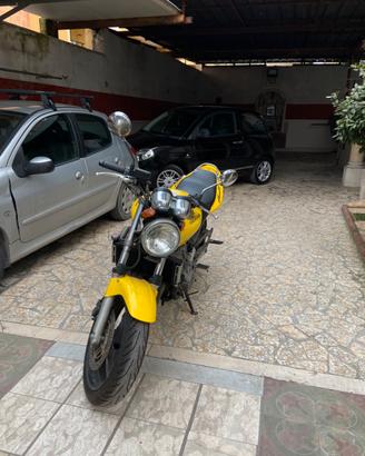 Honda Hornet 600