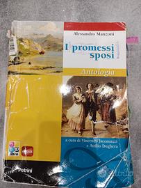 libro i promessi sposi antologia