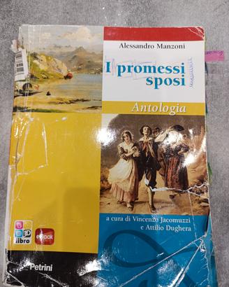 libro i promessi sposi antologia