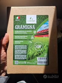 semi di gramigna