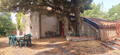 RAGALNA villa indipendente con ampi spazi