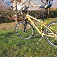 Bicicletta mountain bike