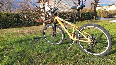 Bicicletta mountain bike