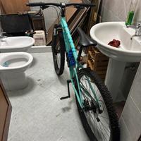 Bici bianchi