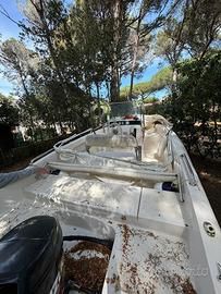 Barca a motore