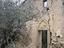 Immagine 8