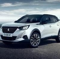Musata completa e ricambi vari Peugeot 2008 2020 2
