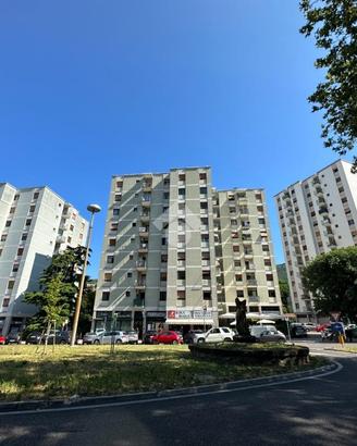 3 LOCALI A TRIESTE