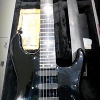 Valley Arts Standard Pro