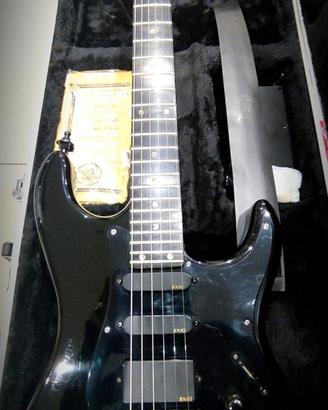 Valley Arts Standard Pro