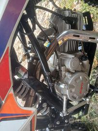 Pit bike
