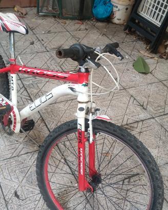 Bicicletta kross