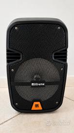 Cassa Amplificata Portatile Bluetooth