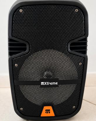 Cassa Amplificata Portatile Bluetooth