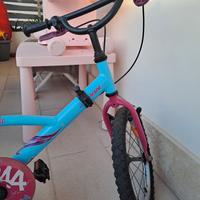 bicicletta 16