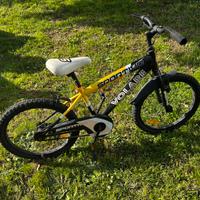 Bicicletta bambino raggio 20