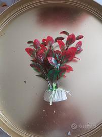 accessori acquario