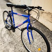 Bici MTB Mach ragazzo