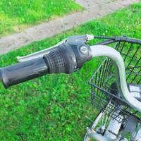 Bicicletta elettrica a pedalata assistita